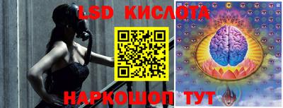 СК Волгодонск