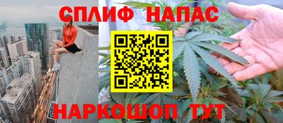СК Волгодонск