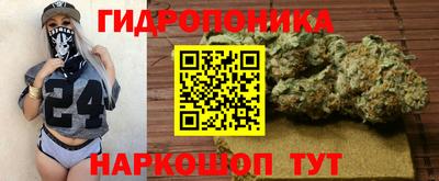 СК Волгодонск