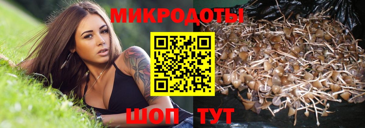 Псилоцибиновые грибы GOLDEN TEACHER  Вход с VPN  Тамбов 