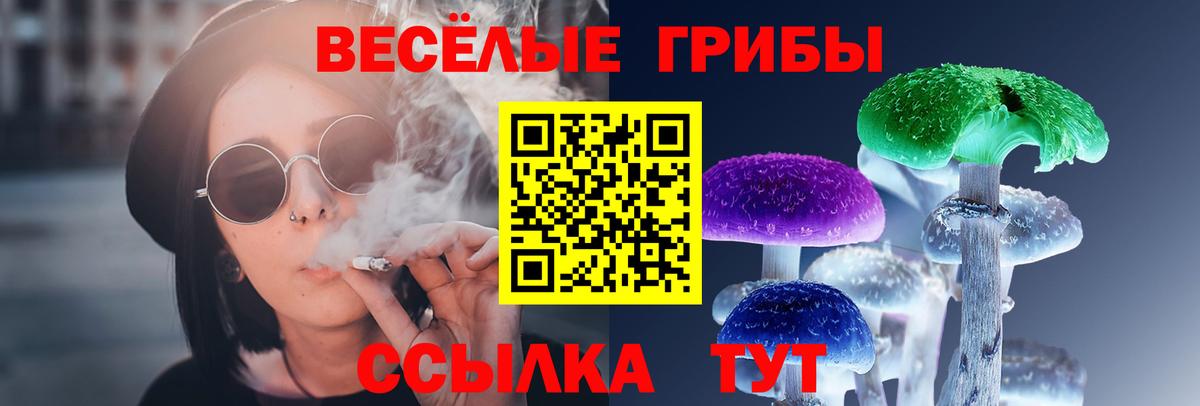 Псилоцибиновые грибы мицелий Тамбов